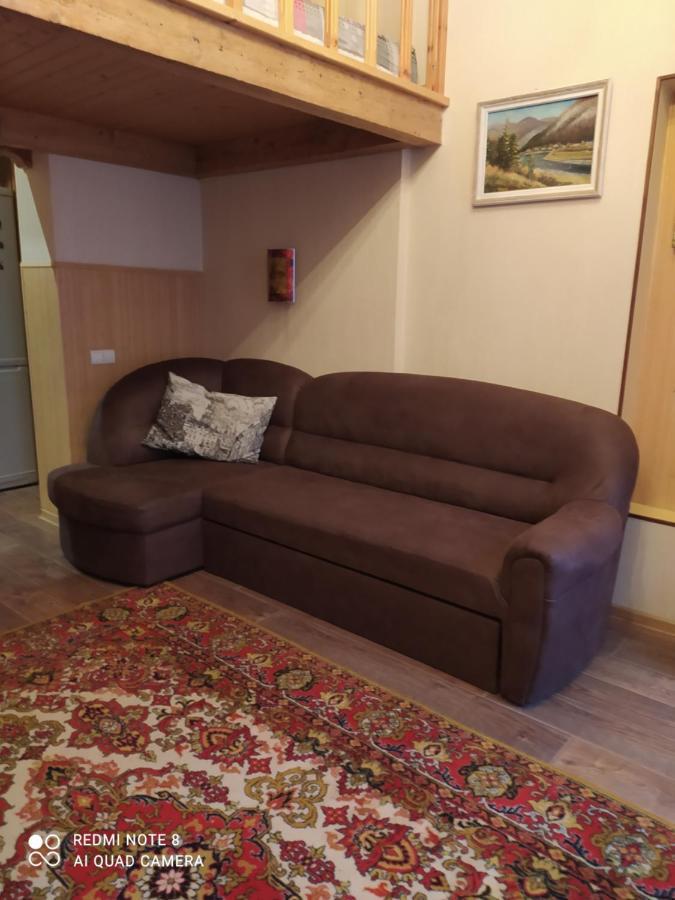 Apartment Na Shevchenka 3 Lviv Extérieur photo